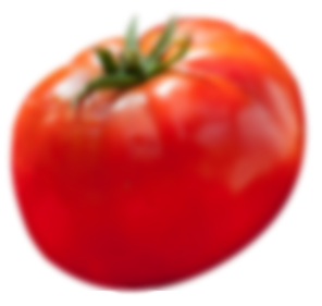 Jitomate